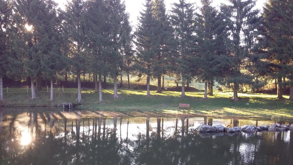 Camping De Flechat Hotel Orcival Eksteriør billede