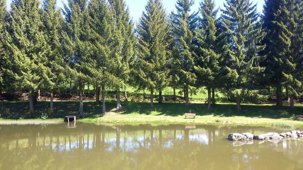 Camping De Flechat Hotel Orcival Eksteriør billede